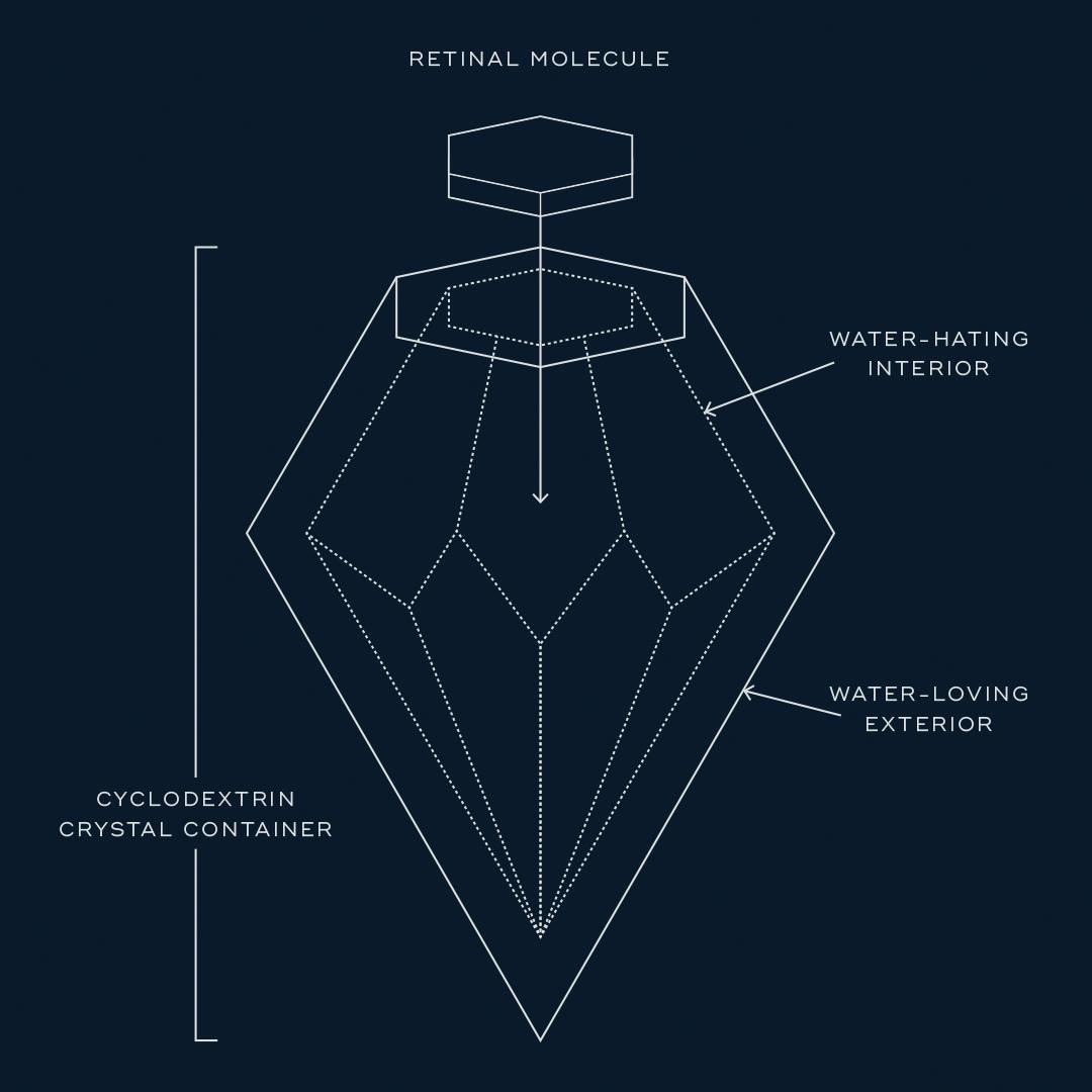 Read more about the article CRYSTAL-LEVEL STABILITY. Retinaldehyde is notoriously unstable when exposed to o…