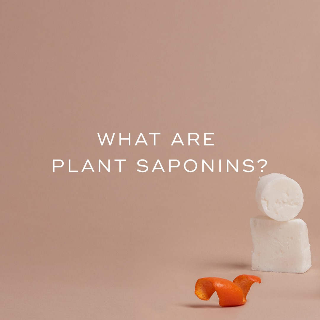 Read more about the article PLANT SAPONINS – one of the key ingredients in our newly formulated Cream Cleans…