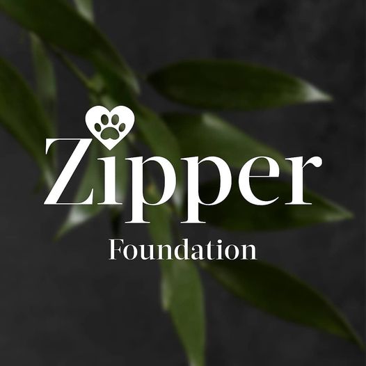 Read more about the article THE ZIPPER FOUNDATION. Every year Medik8 gives the Foundation a guaranteed minim…